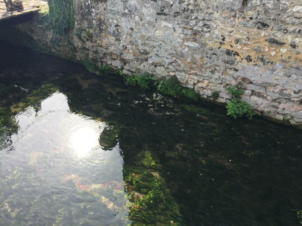 Le Moulin De La Cote Chambre D'Hotes Saint-Vigor Eksteriør bilde